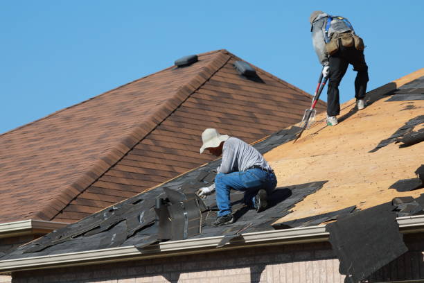 Best Roof Ventilation Installation  in Leon, IA