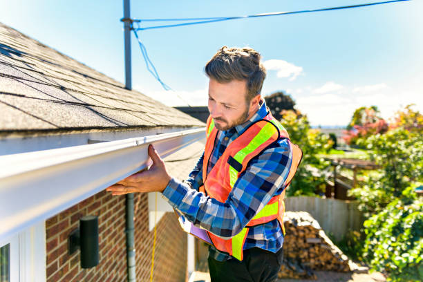 Best Roof Moss and Algae Removal  in Leon, IA